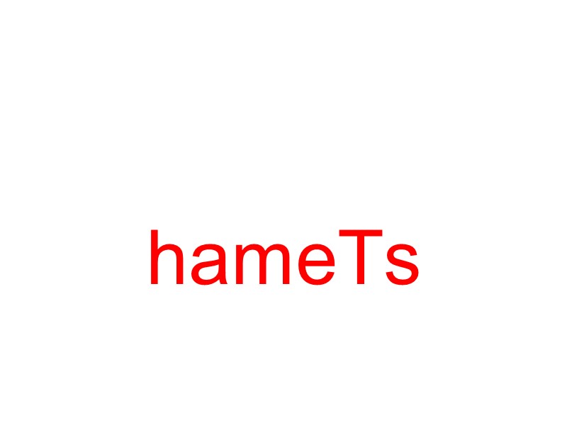 hameTs